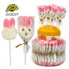 Custom Halal Fruit Flavor Pink Rabbit Animal Shape Gummy Soft Candy Sweets Lollipop for Kids