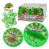 Wholesale Bottle Candy OEM Watermelon Fruit Flavor Tablet Hard Candy for Kids Halal Candy Toy