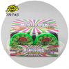 Wholesale Bottle Candy OEM Watermelon Fruit Flavor Tablet Hard Candy for Kids Halal Candy Toy